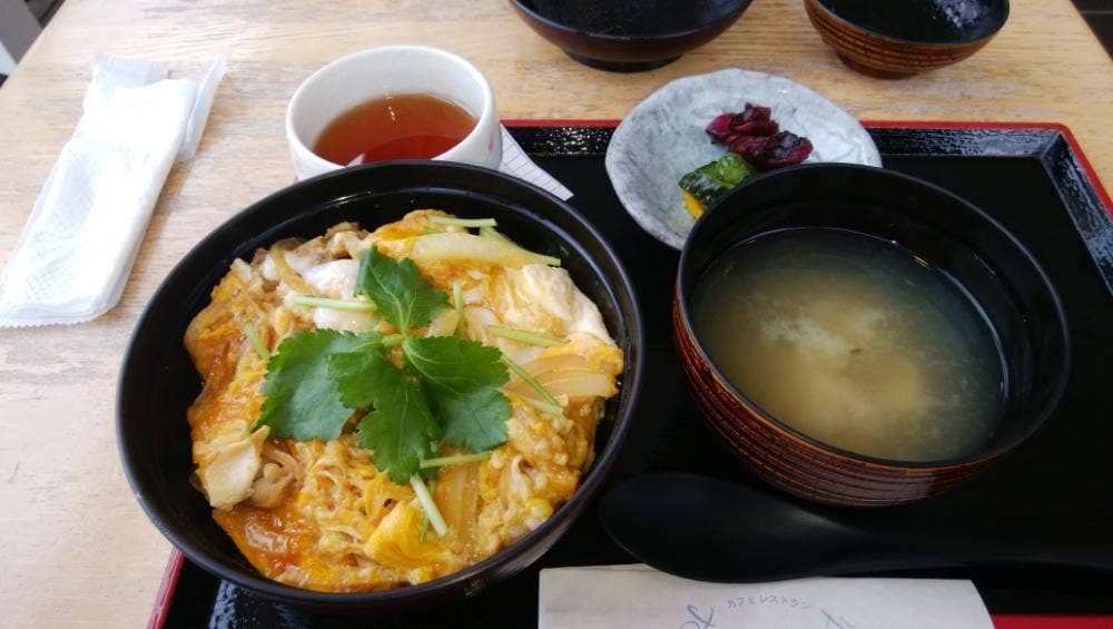 カフェレストラン すてんぱれ 浦安市郷土博物館