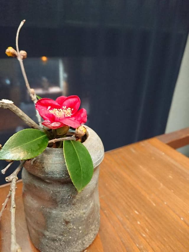 創作茶寮 西村 - サブ画像1