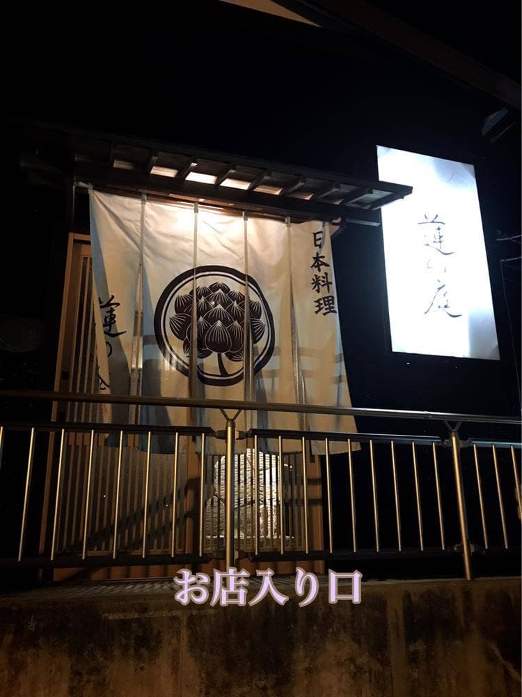 蓮の庭