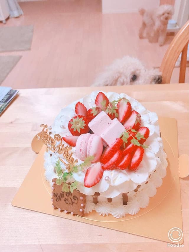 お嫁ちゃんのシフォンケーキ - サブ画像1