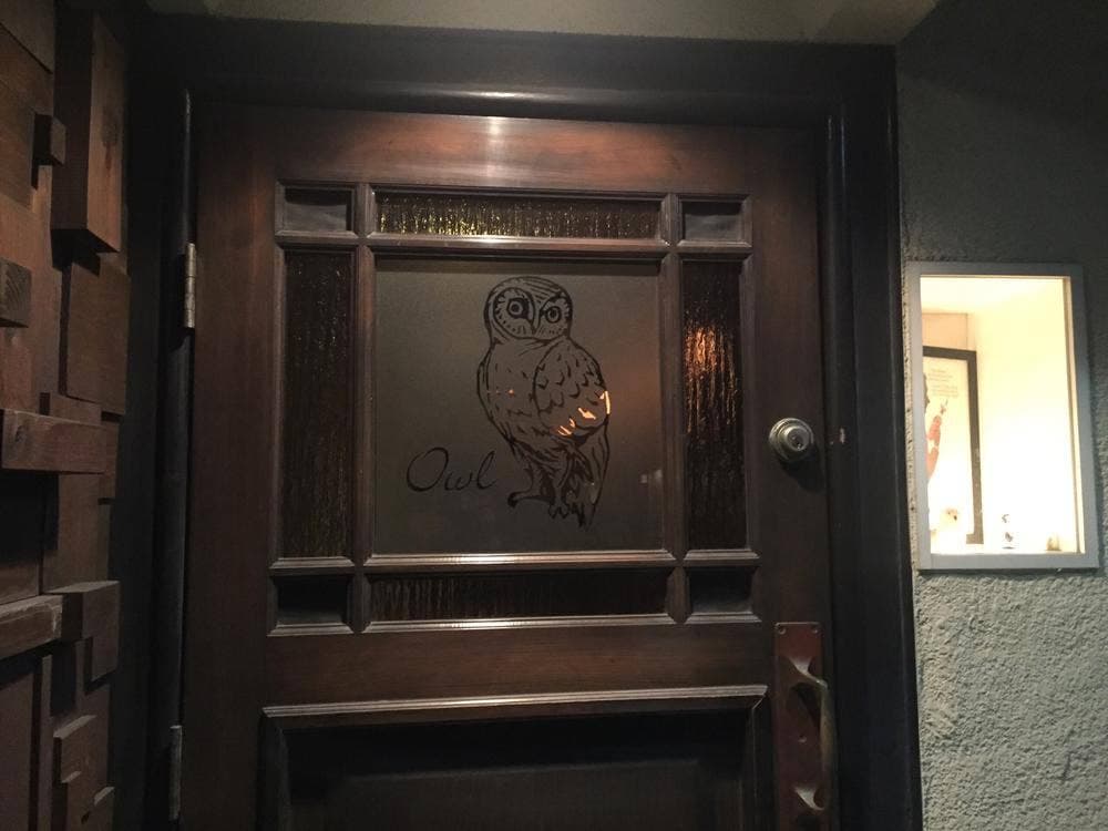 Owl