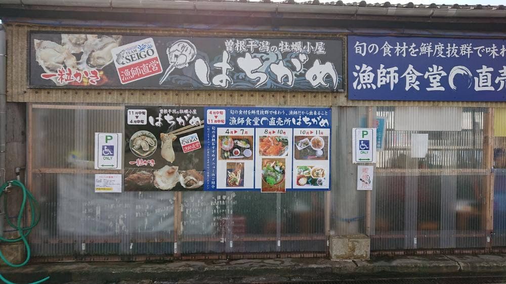 カキ小屋 はちがめ