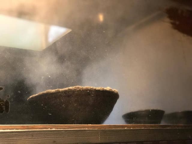まるしょう 田崎店 - サブ画像1