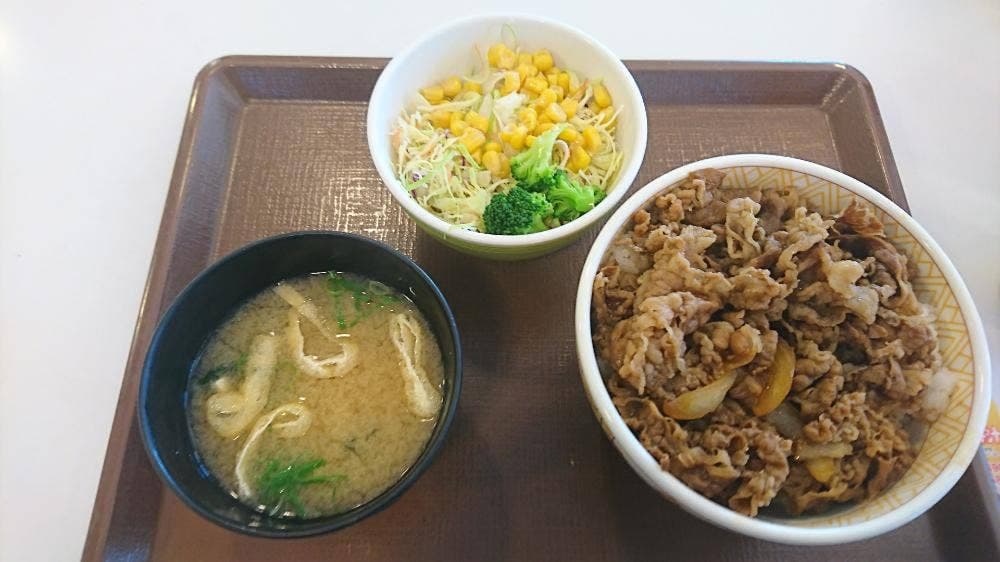 すき家 1国蟹江新田店