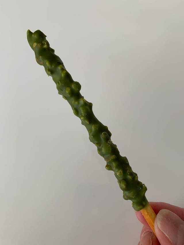 バトンドール 阪急 うめだ本店 Baton dor - サブ画像1