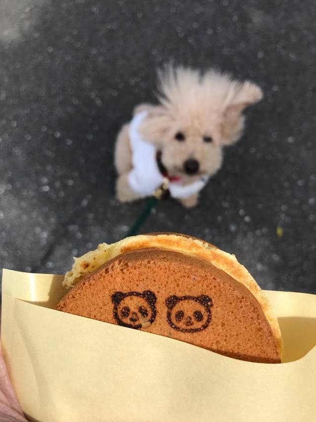 パンダ商店 - サブ画像2
