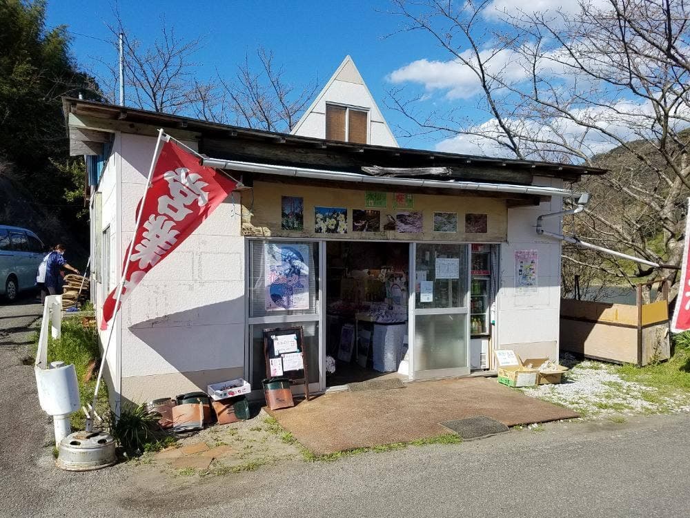 佐久間ダム湖 かわせみ