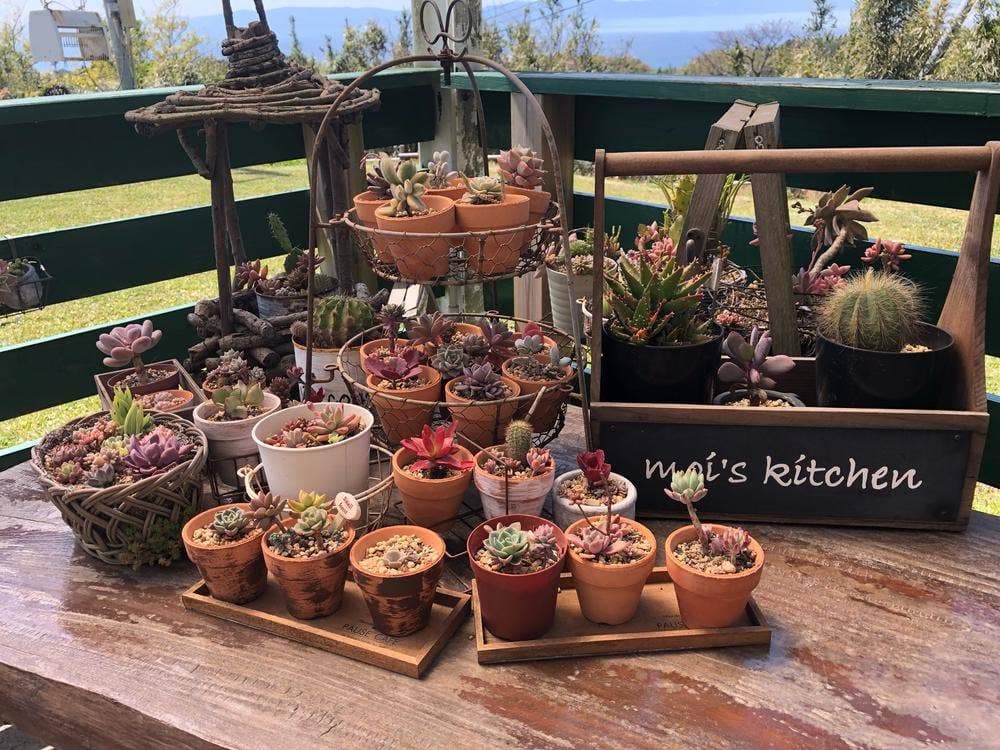 モイズキッチン