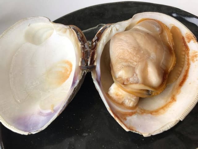 海鮮料理 日南水産 - サブ画像3