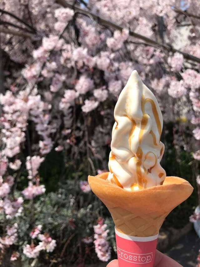 タケサン記念館 一徳庵 - サブ画像1