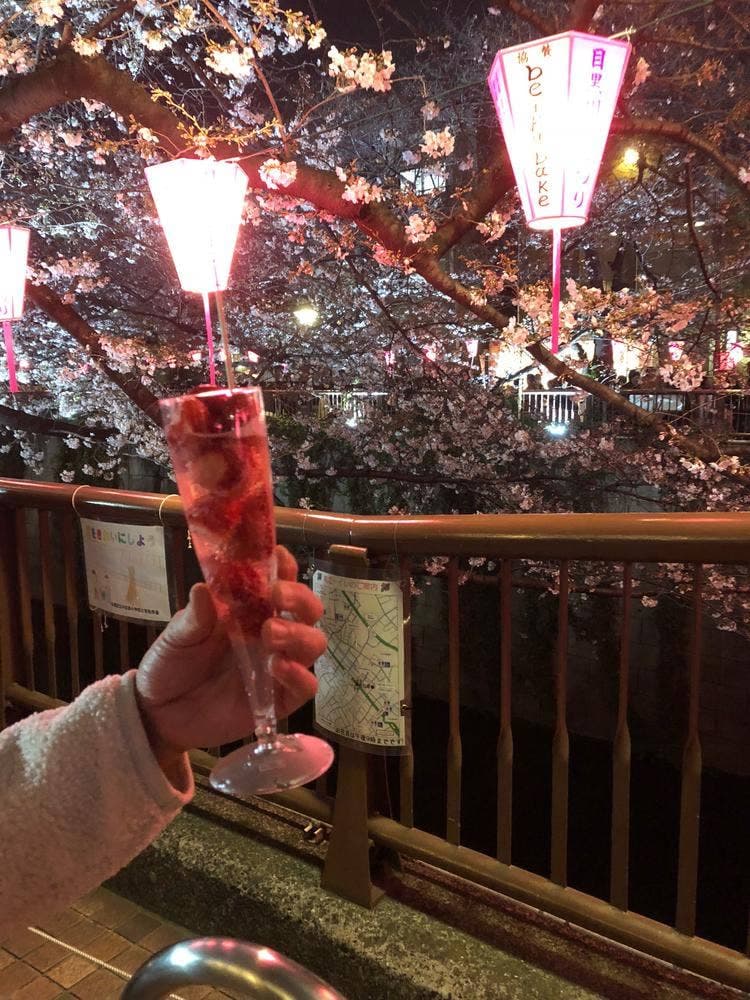 サングリバー スロージャム