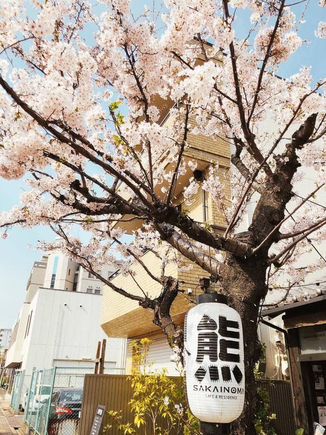 SAKAINOMA cafe - サブ画像2