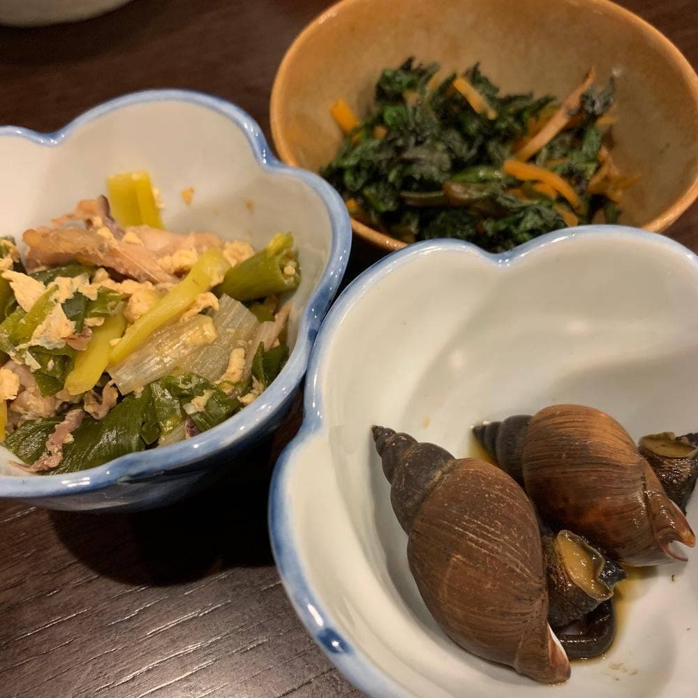 魚菜めし まつぼっくり