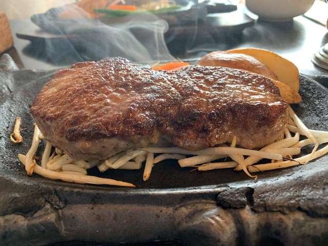 はやぶさ - サブ画像2