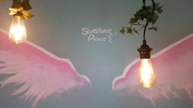 sunshine PICNIC - サブ画像1