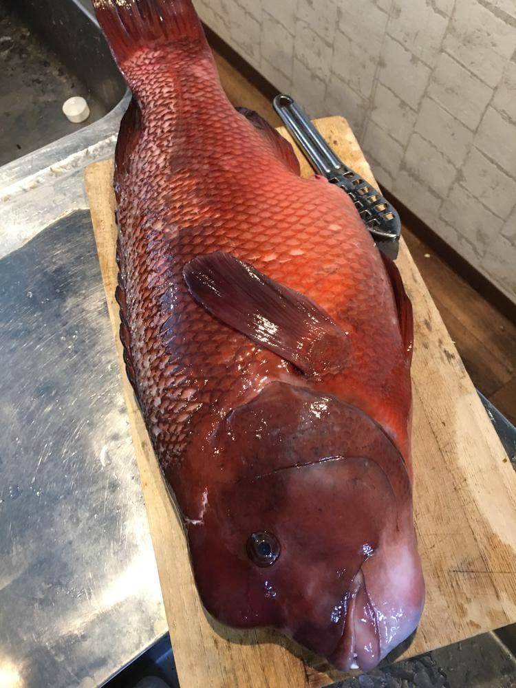 居酒屋 和る〜い