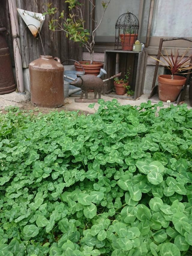 ののさま*あん - サブ画像2