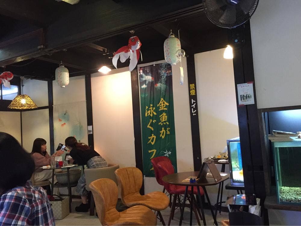きんぎょcafé 柳楽屋 陽だまり