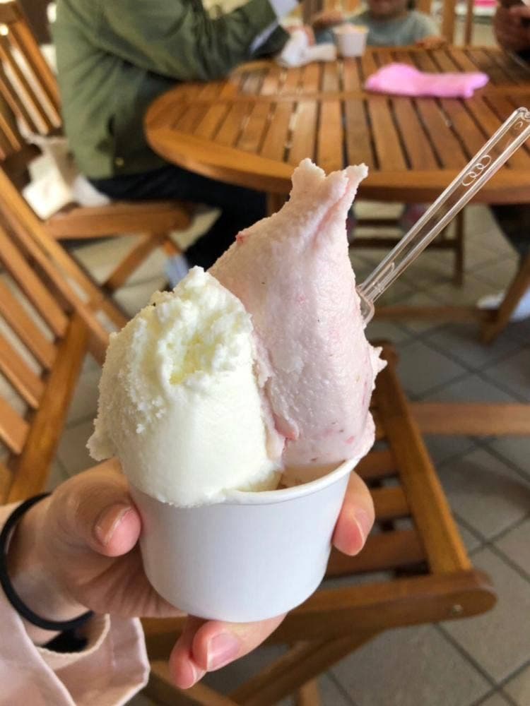 四季の里 水車小屋アイスクリーム