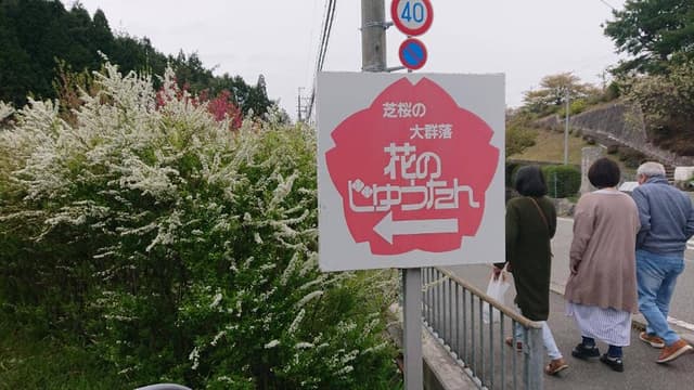 栗の里 花のじゅうたん園内 - サブ画像2