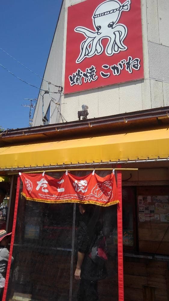 たこやきこがね