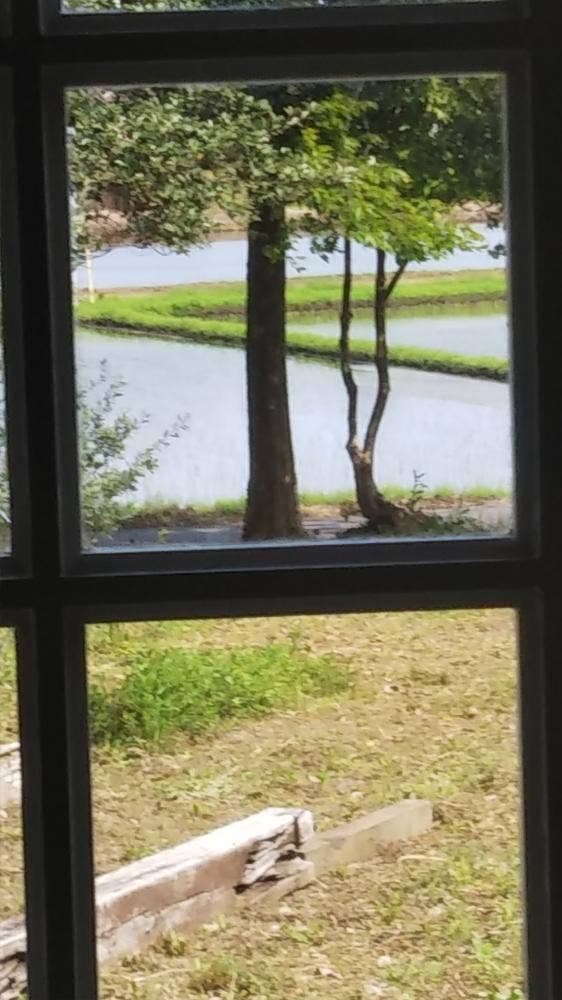 ルール・ブルー～イケダヤ