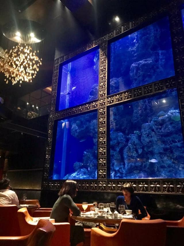 LUXIS - サブ画像3