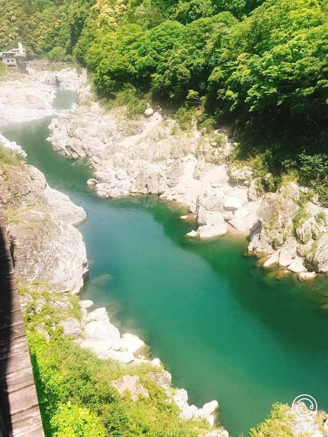 道の駅 大歩危 - サブ画像3