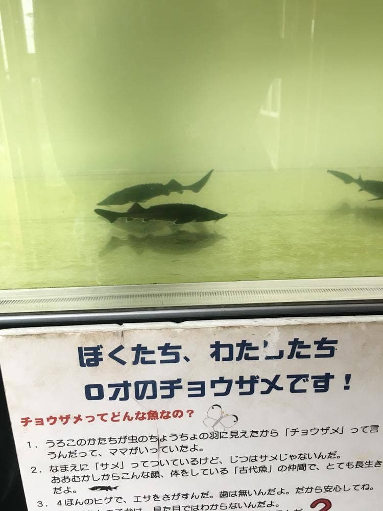 道の駅 しかおい