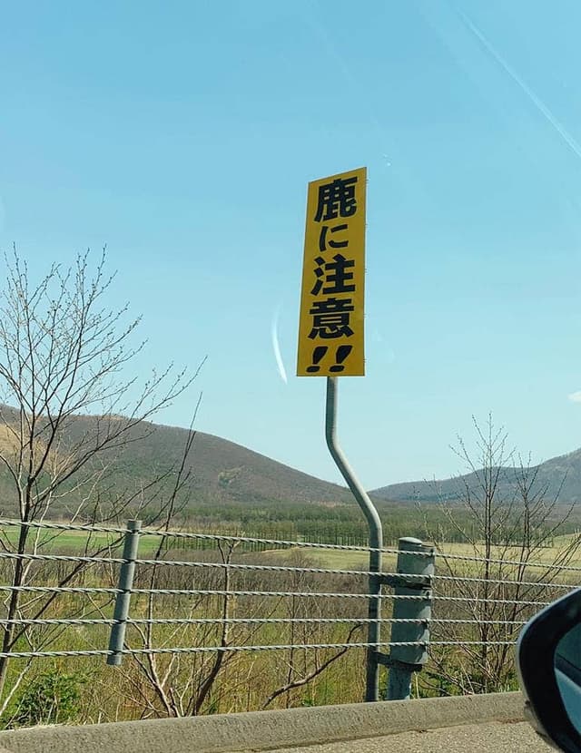 とかち平原 マルシェ 道東道十勝平原SA - サブ画像1