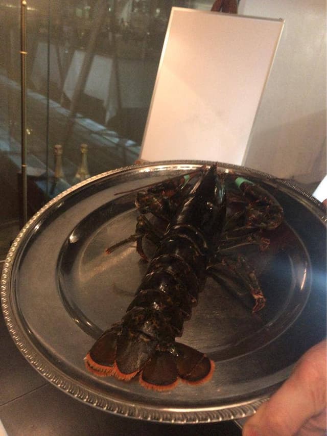 ローザロッチェITALiAN 心斎橋 - サブ画像3