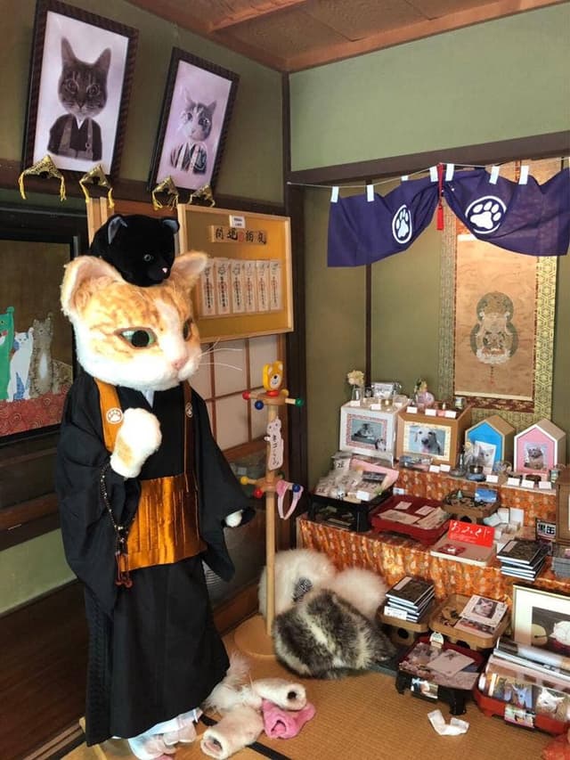 猫猫寺 cafe - サブ画像2