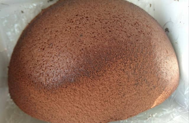 梛の樹 - サブ画像3