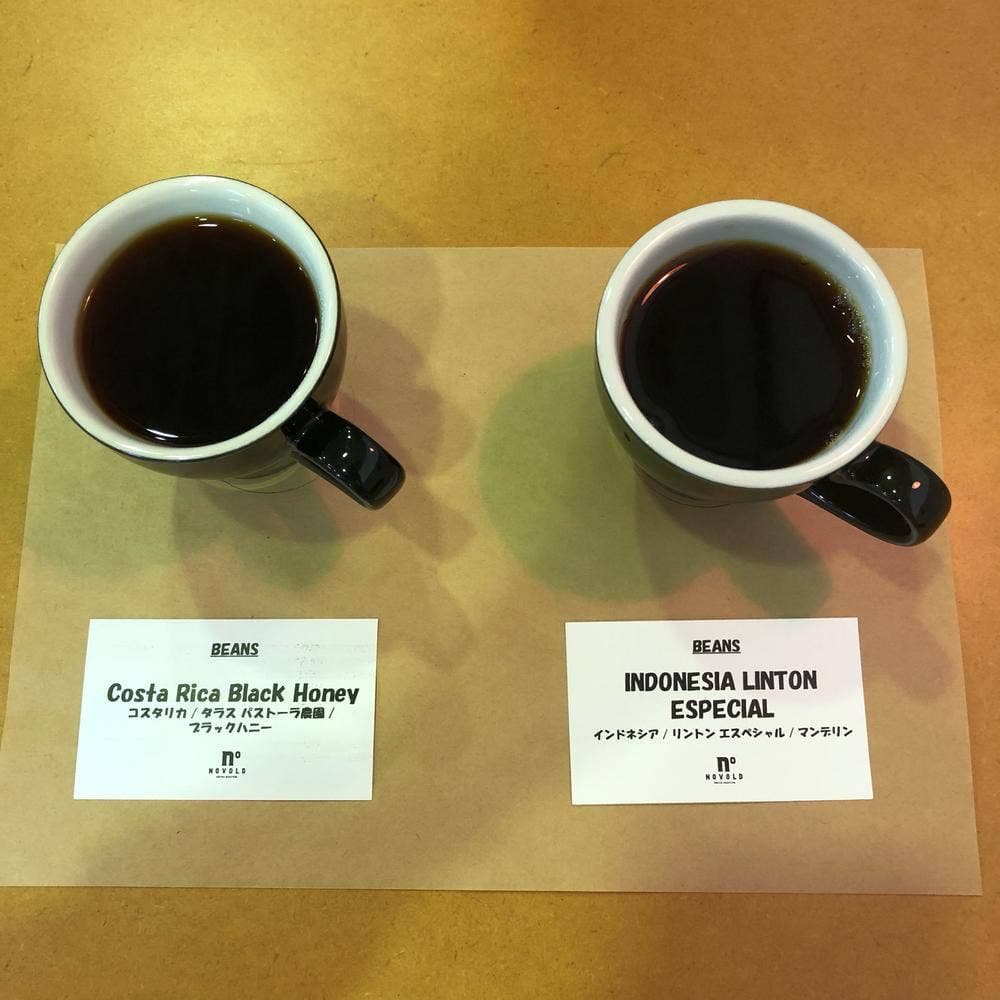 Novold Coffee Roasters