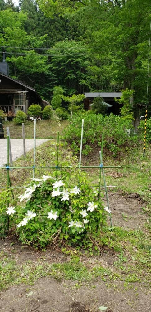 黒沢山ベーグル こなから - サブ画像1