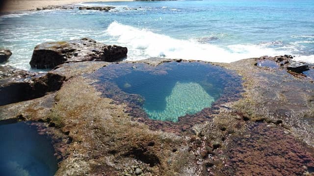 奄美きょら海工房 パン屋 鹿児島店 - サブ画像2