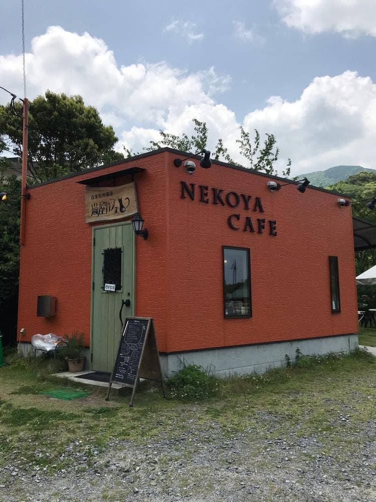 猫屋カフェ 本店