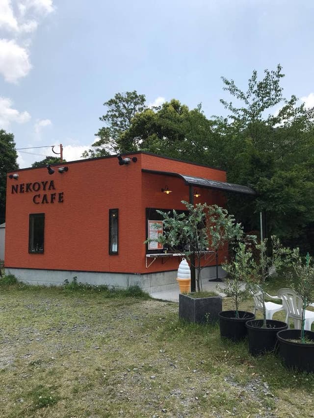 猫屋カフェ 本店 - サブ画像1