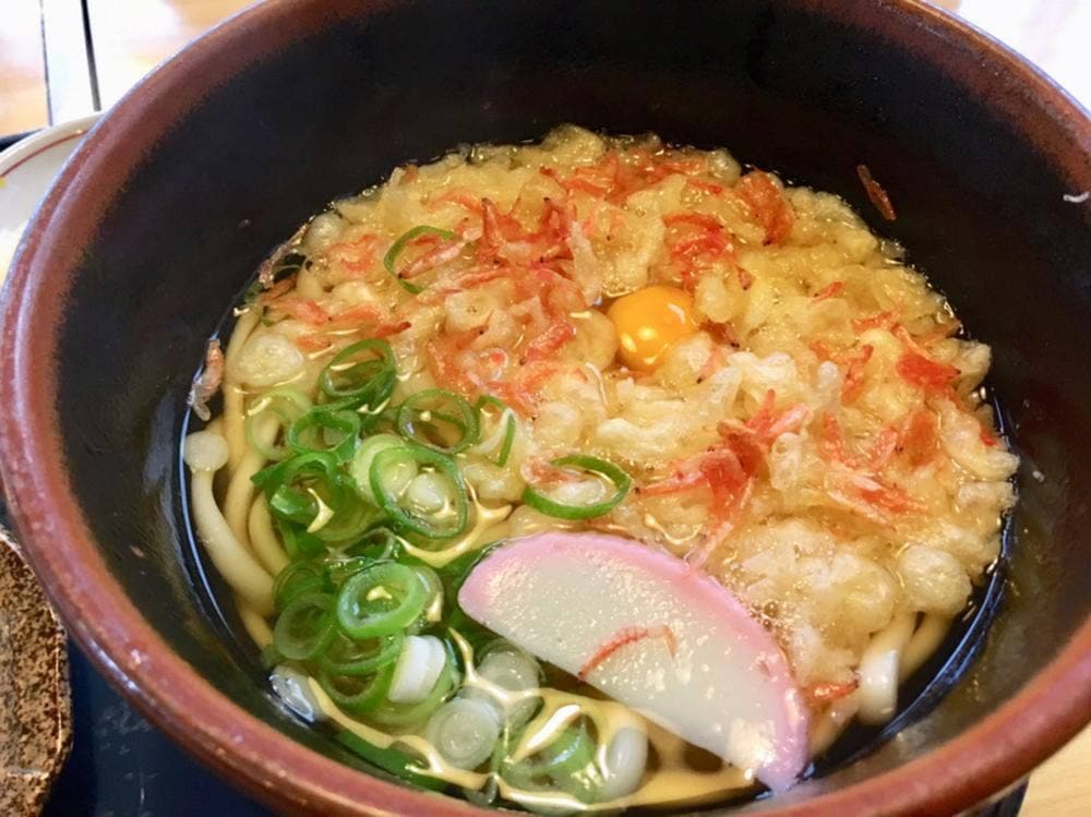 こだぬき