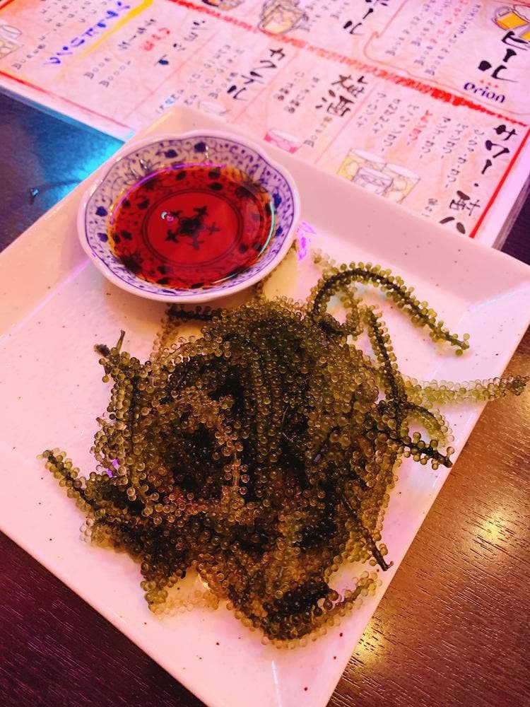 飛梅食堂 豚トン味 国際通り屋台村