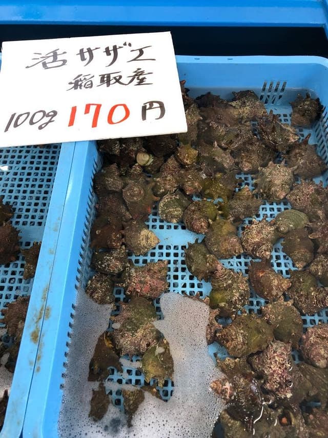 稲取漁港直売所こらっしぇ - サブ画像2
