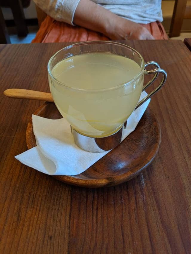 THE ROVER - サブ画像1