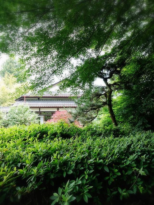 四季茶房 八夢 - サブ画像3