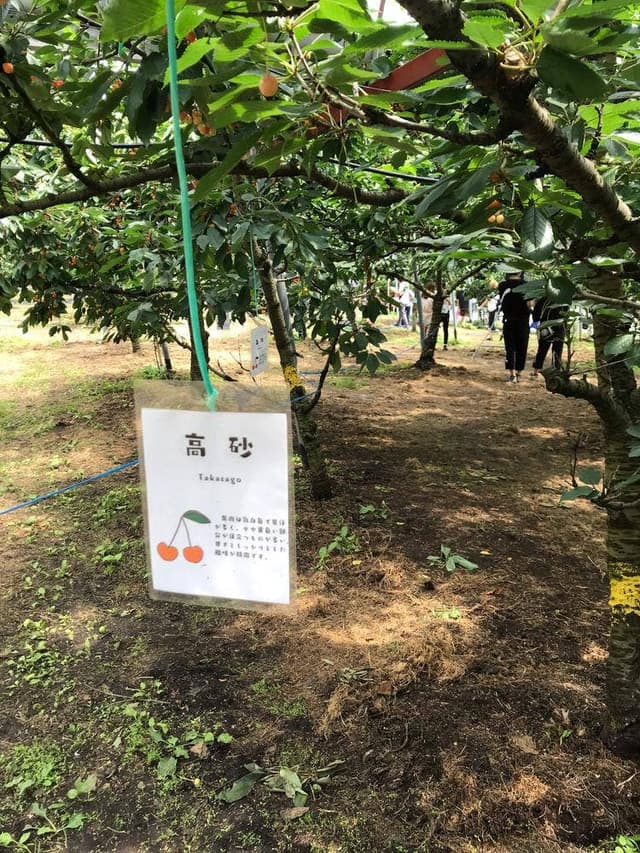 フルーツの森 平田観光農園 - サブ画像3