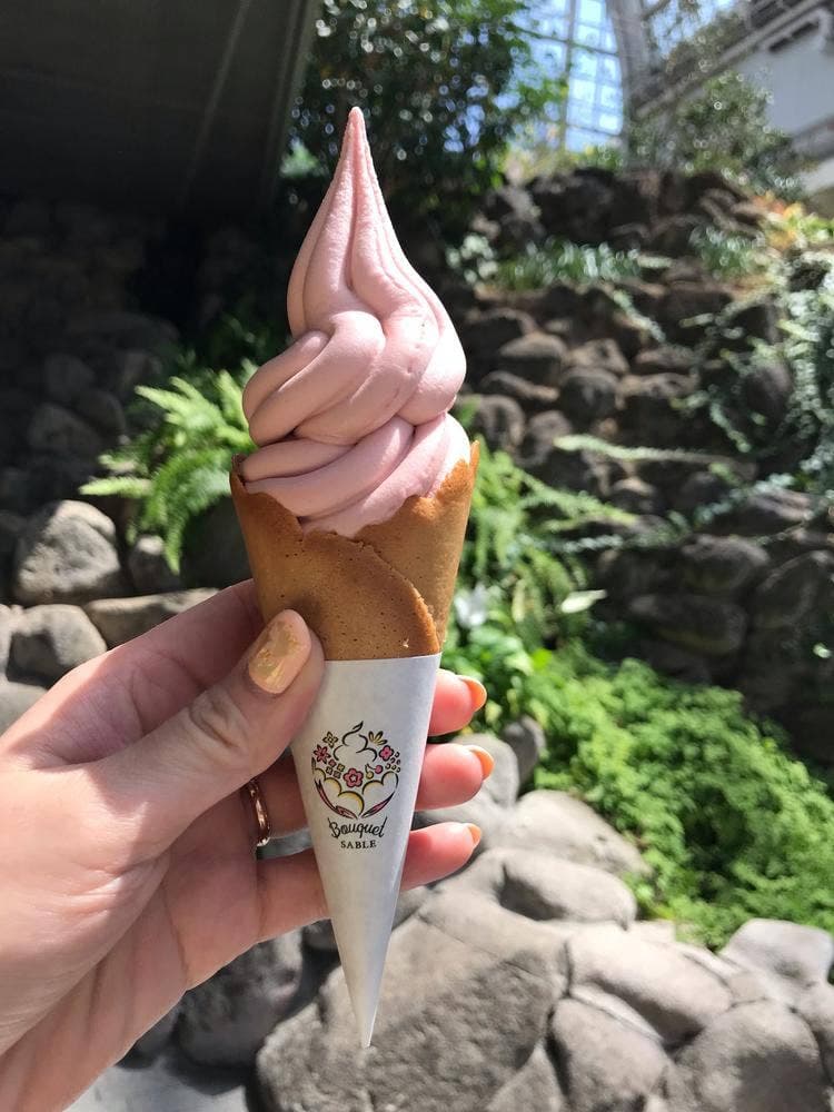 ALBERO サッポロファクトリー店