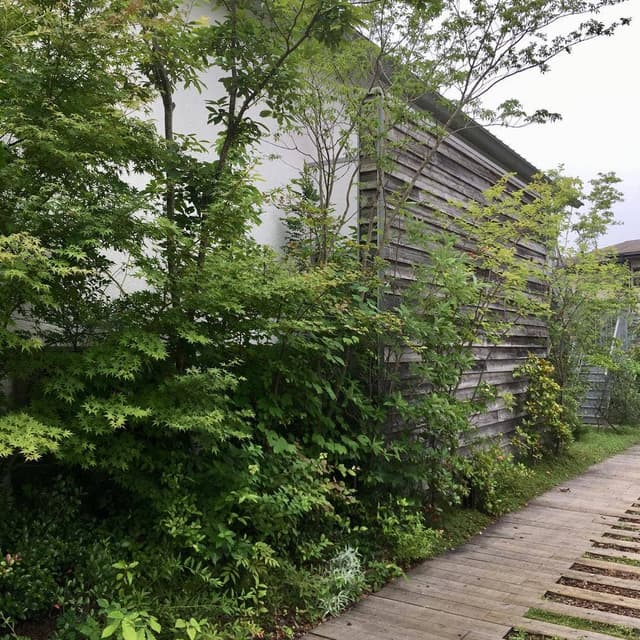 林のカフェ - サブ画像3