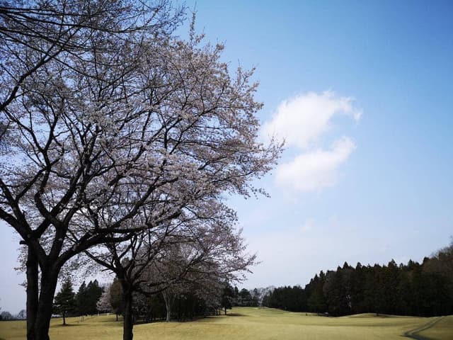 鹿翔苑 鹿沼カントリー倶楽部 - サブ画像2