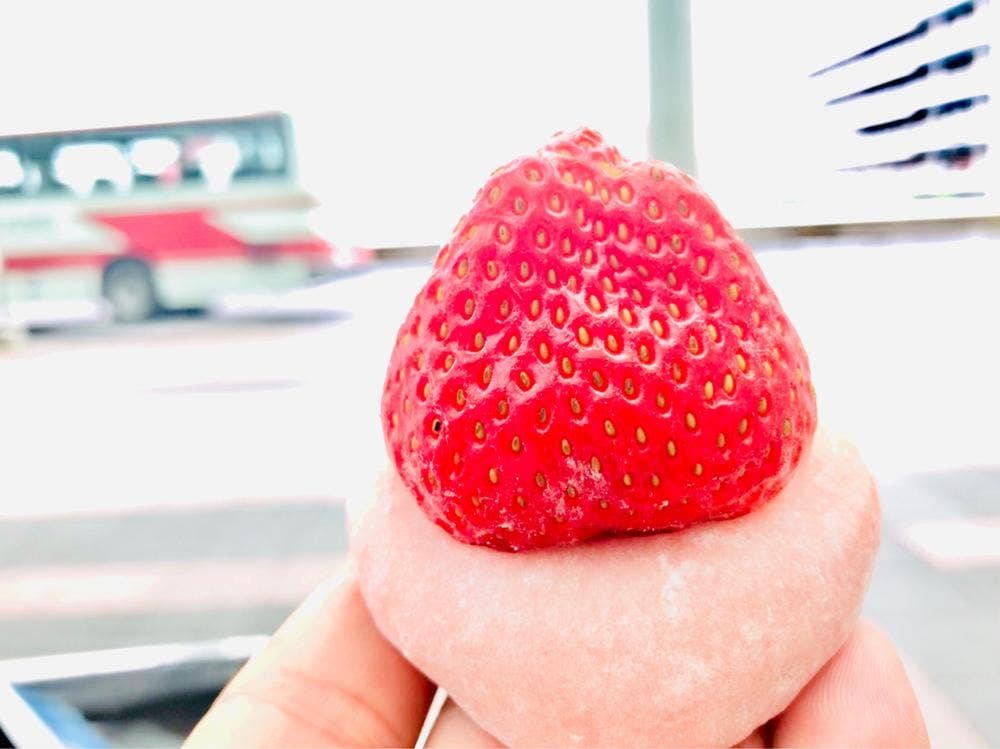 かねすえ 羽田空港店