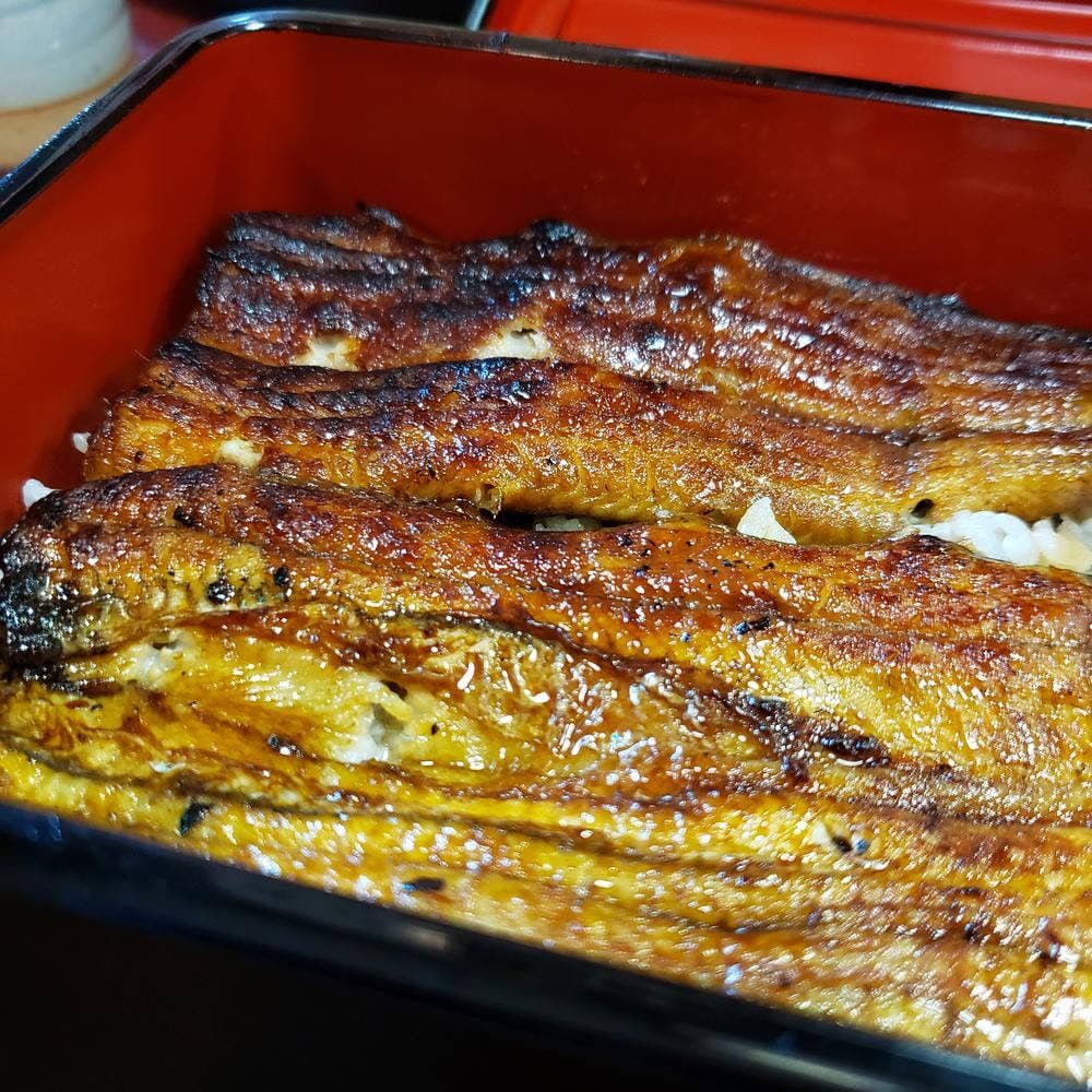 うなぎ 都川