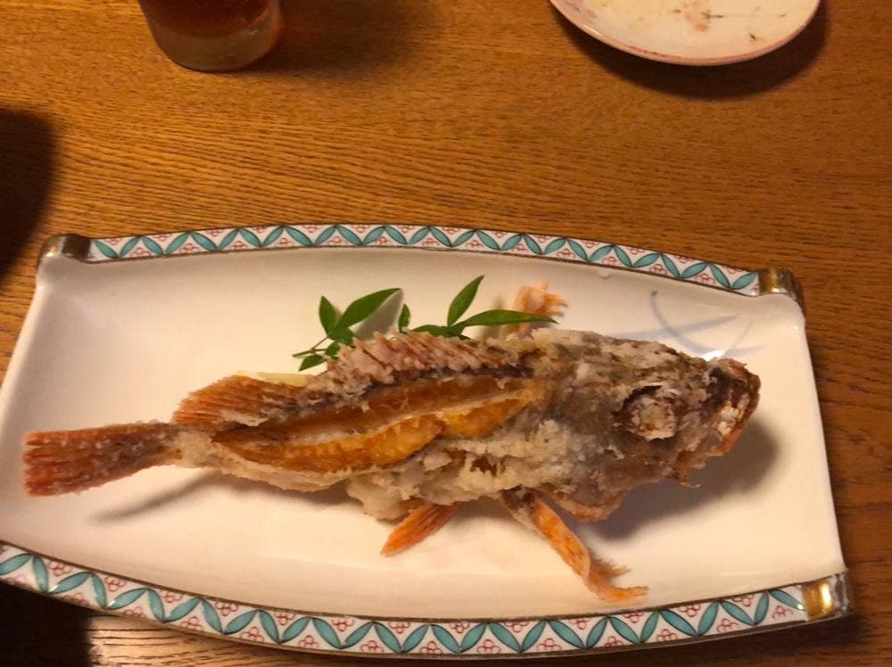 活魚・小料理 こころ亭